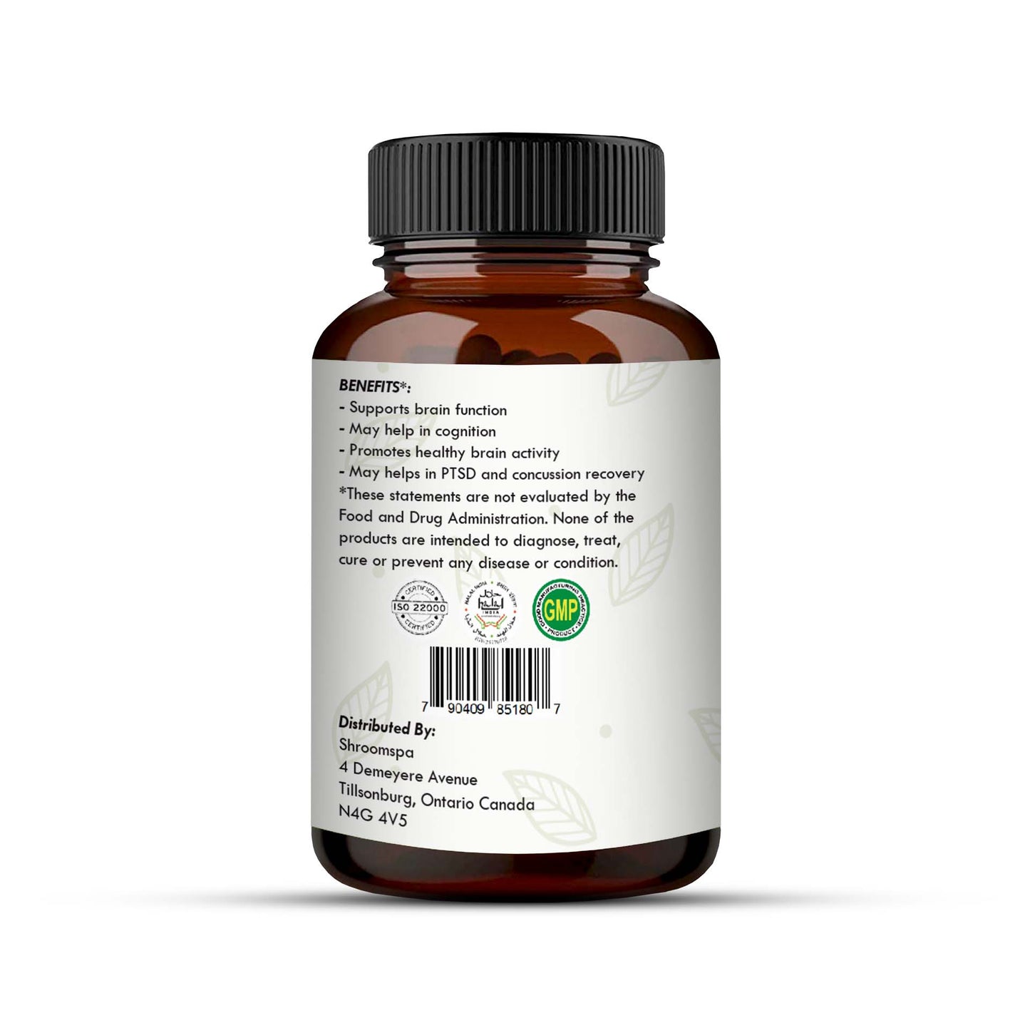 Shroomspa Brain Boost