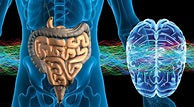 BRAIN-GUT CONNECTION