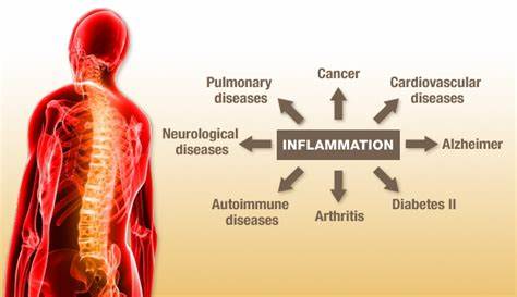 INFLAMMATION AND IT'S TRIGGERS
