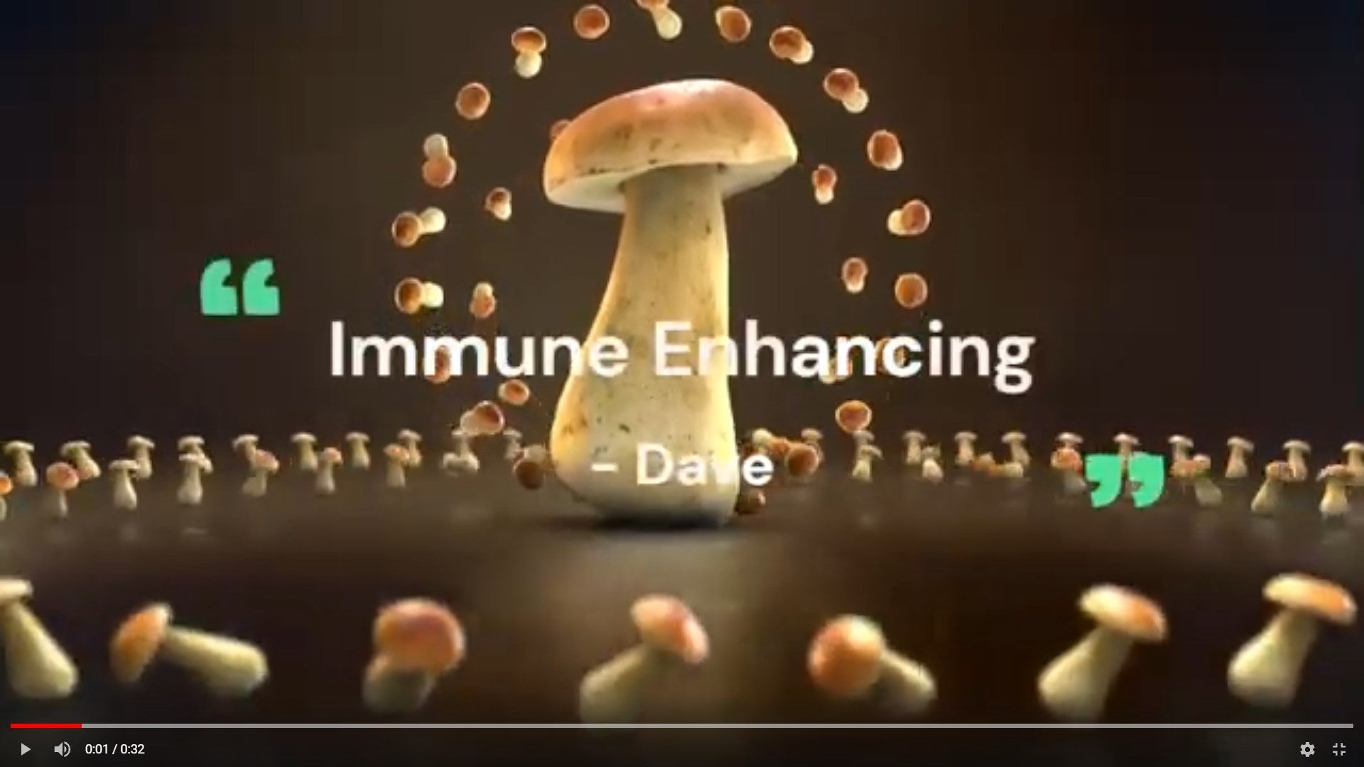 Load video: https://cdn.shopify.com/s/files/1/0608/1734/2687/files/Shroom_Spa_Video.mp4?v=1650660632